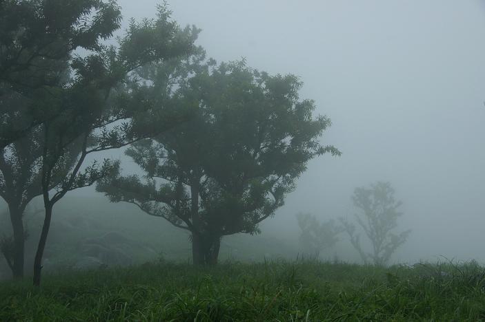 すっぽり霧の中.JPG