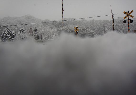 雪の中にめり込んだカメラから.JPG